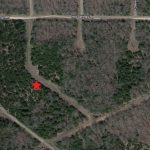 Lots 195-197, Mount Olive Road, Horseshoe Bend, AR 72512 owner financed land in arkansas