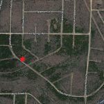 Lots 201-202, Ash Flat Drive, Horseshoe Bend, AR 72512 owner financed land in arkansas