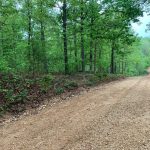 Lot 4, Oriole Drive, Ozark Acres AR 72482 owner financed land in arkansas