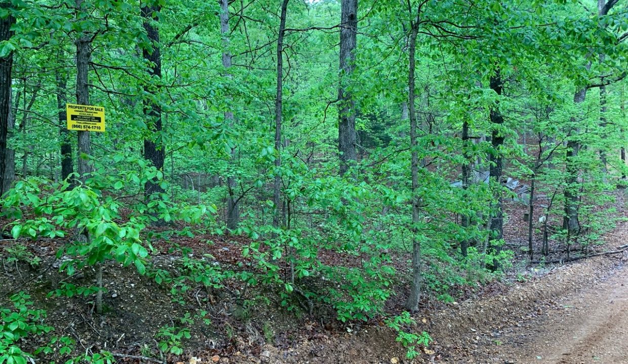 Image00002