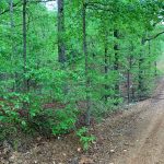Lot 14, Block 8, Redbird Drive, Ozark Acres, AR 72482 owner financed land in arkansas