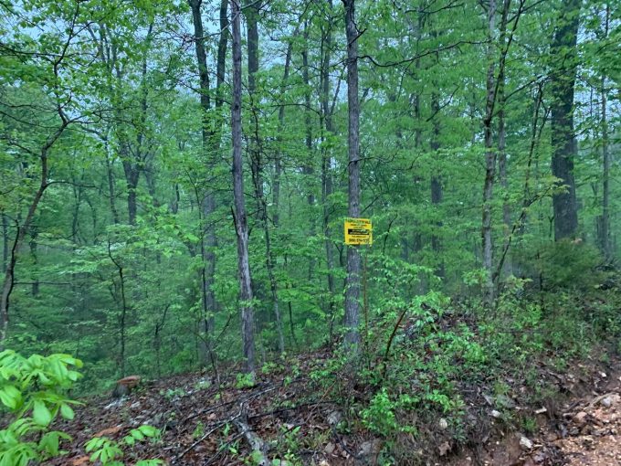 Lot 36, Thrush Drive, Ozark Acres AR 72482 owner financed land in arkansas