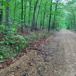 Lot 5, Block 8, Redbird Drive, Ozark Acres, AR 72482 owner financed land in arkansas