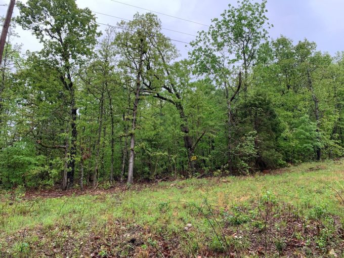 Lot 9, Block 2, Rocky Top Trail, Ozark Acres, AR 72482 owner financed land in arkansas