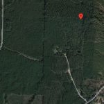 0 Bradley Road 111, Hermitage, AR 71647 owner financed land in arkansas