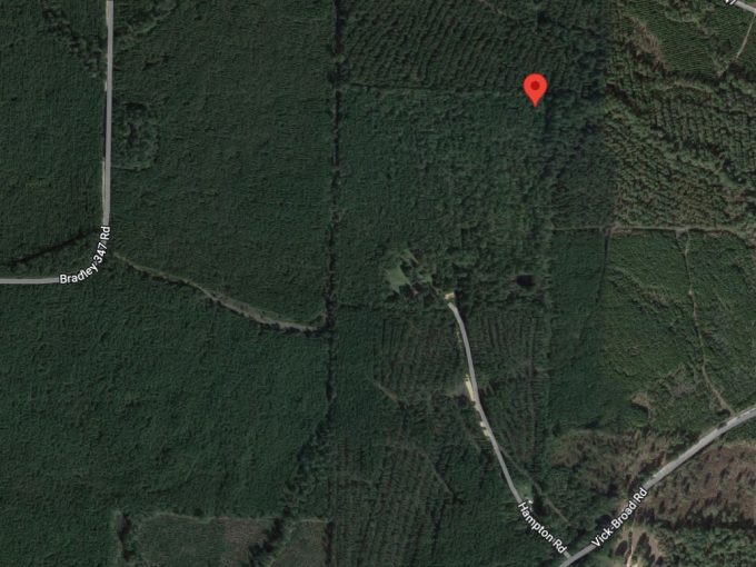 0 Bradley Road 111, Hermitage, AR 71647 owner financed land in arkansas