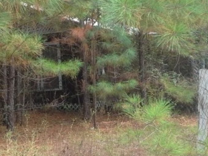 117 Johnson Rd, El Dorado, AR 71730 owner financed land in arkansas