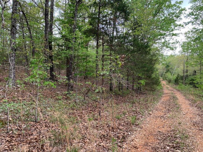 Lot 13, Old CCC Rd, Hardy AR 72542 owner financed land in arkansas