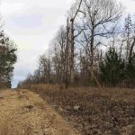 Lot 39, Block 1, Stone Creek Drive, Hardy AR 72542 owner financed land in arkansas