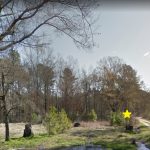 0 Willow Street, Bradley, AR 71826 owner financed land in arkansas