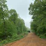 Lot 16, Block 6, Bluebird Drive, Ozark Acres AR 72482 owner financed land in arkansas