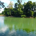 Lots 49-50, Block B, Driftwood Parking Park, Ravenden, AR 72459 owner financed land in arkansas