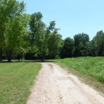 Lots 5-11, Block A, Driftwood Parking Park, Ravenden, AR 72459 owner financed land in arkansas