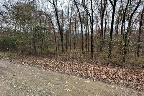 Lot 3240, Holly Hill Drive, Hot Springs AR 71913 owner financed land in arkansas