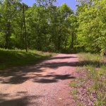 Lot 18, Eagle Trail, Ozark Acres, AR 72482 owner financed land in arkansas