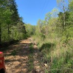 Lot 16, Block 8, Spring Valley, Ozark Acres, AR 72482 owner financed land in arkansas