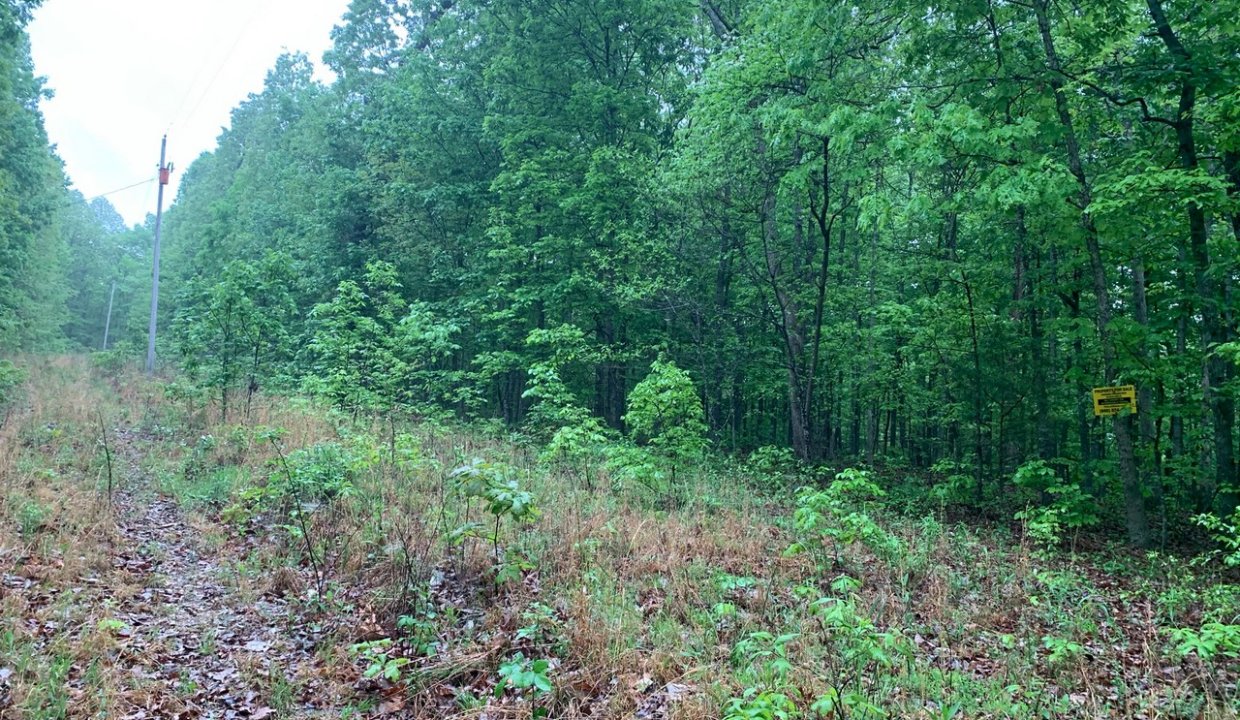 Image00013