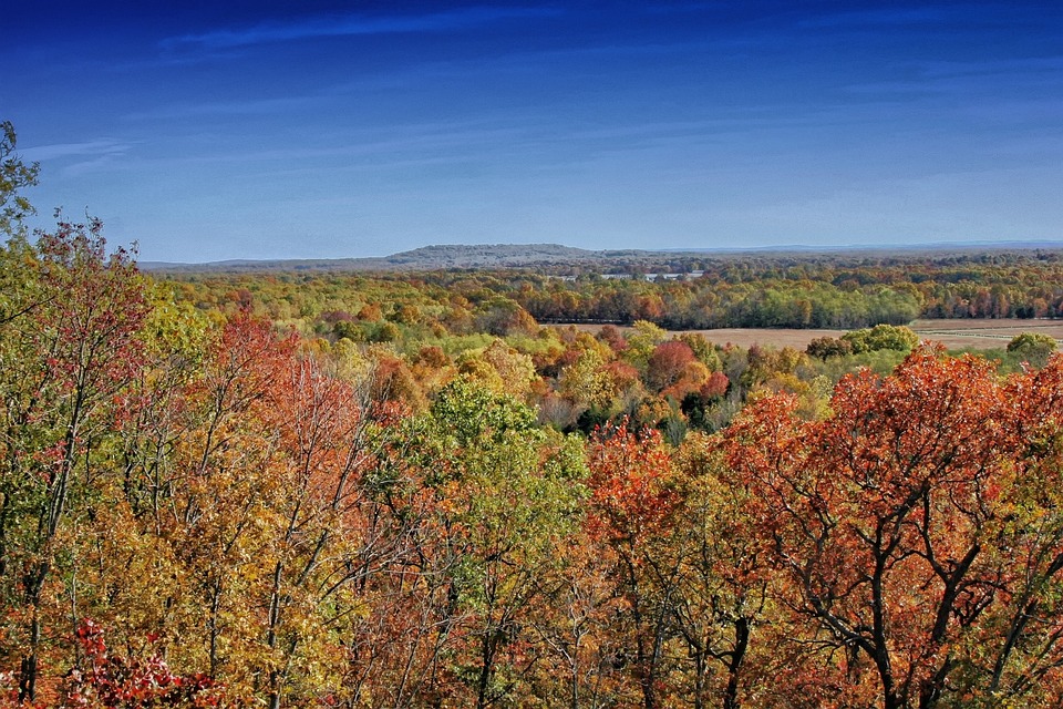 Arkansas land deals