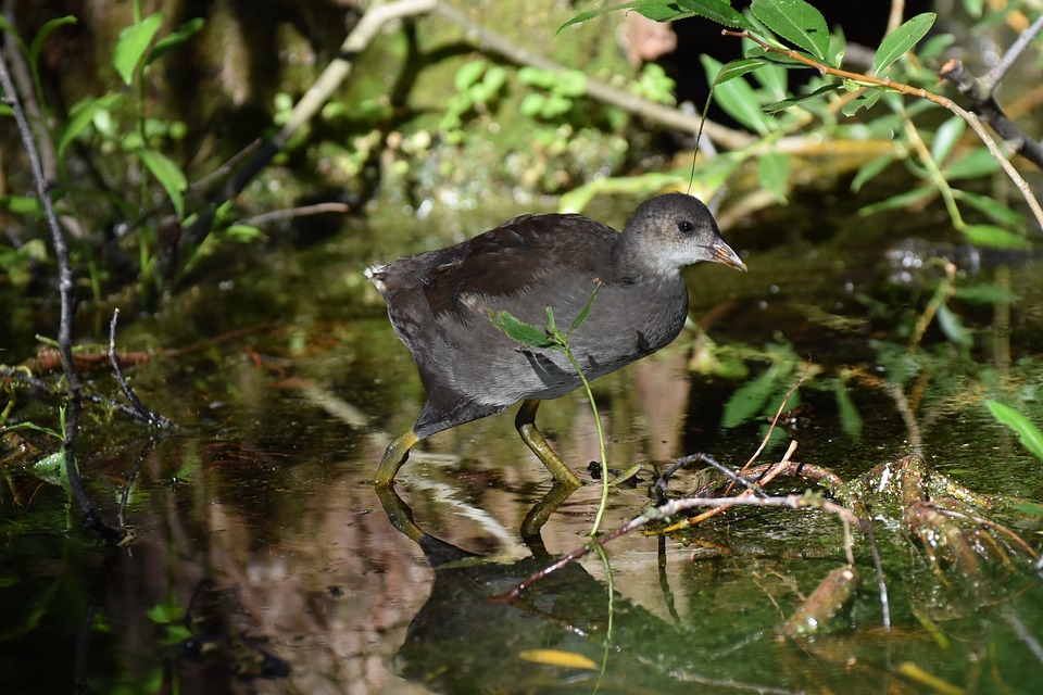 arkansas land for sale by owner