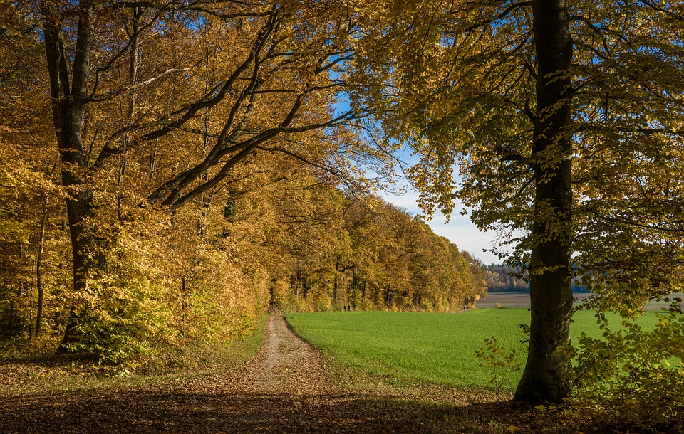 land for sale near me
