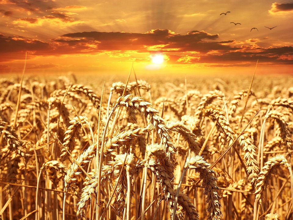 land loans arkansas