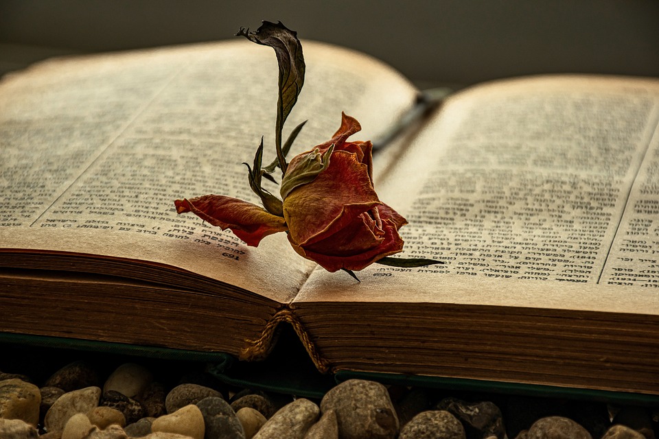 owner finance land near me