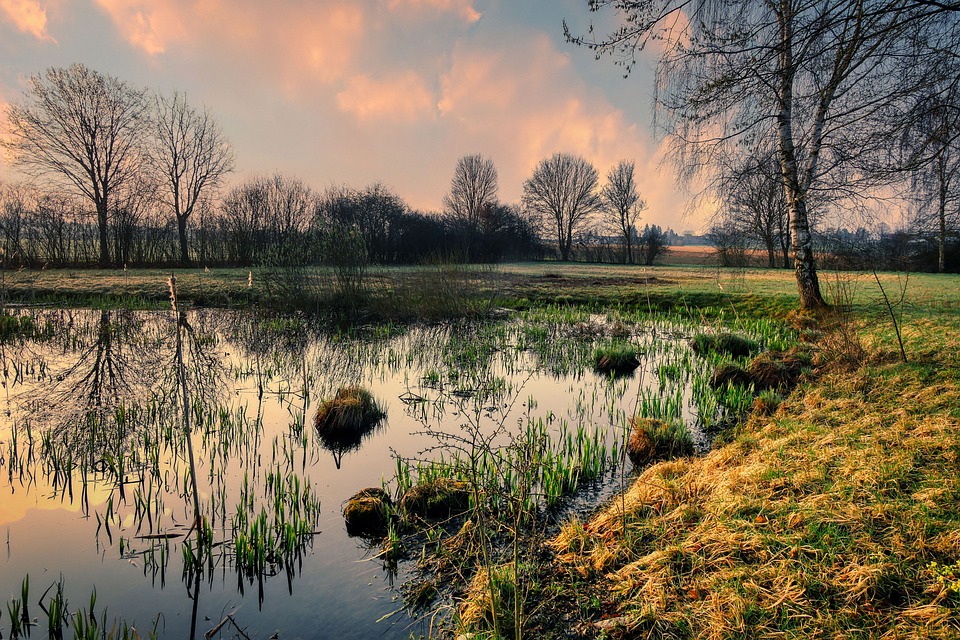 unwanted land for sale