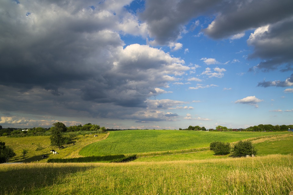 land for sale under 1000 dollars