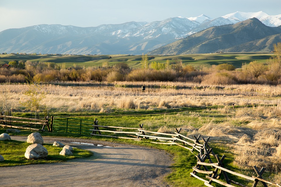 acres for sale cheap