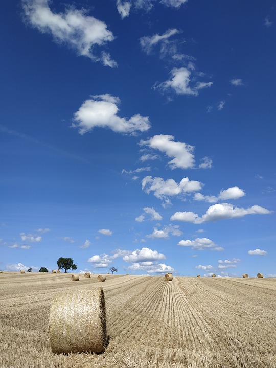 land lots for sale