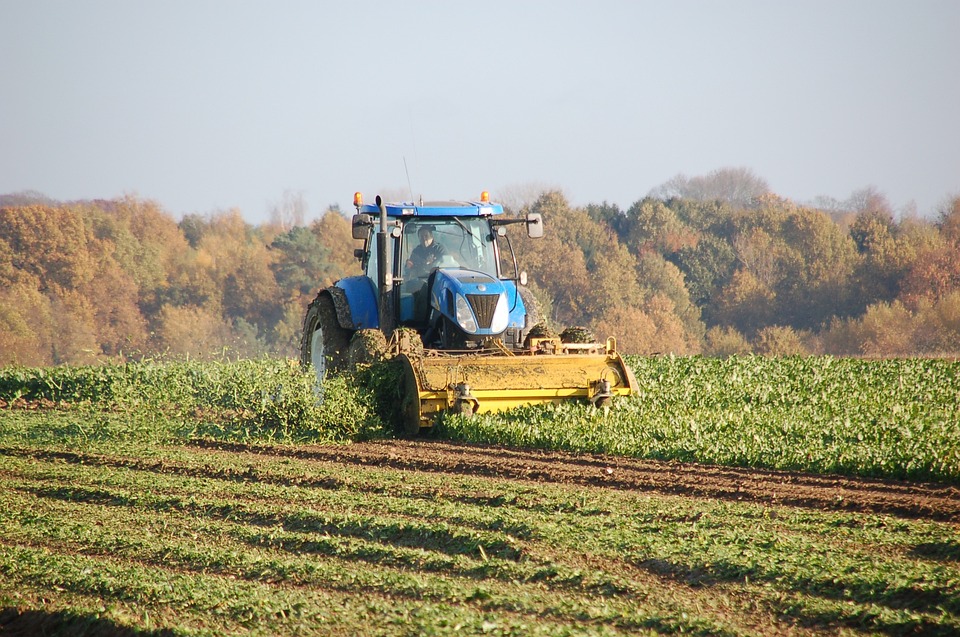acres for sale cheap