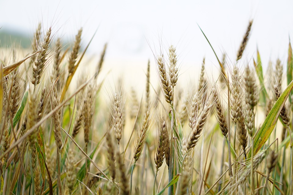 how much is one acre of land