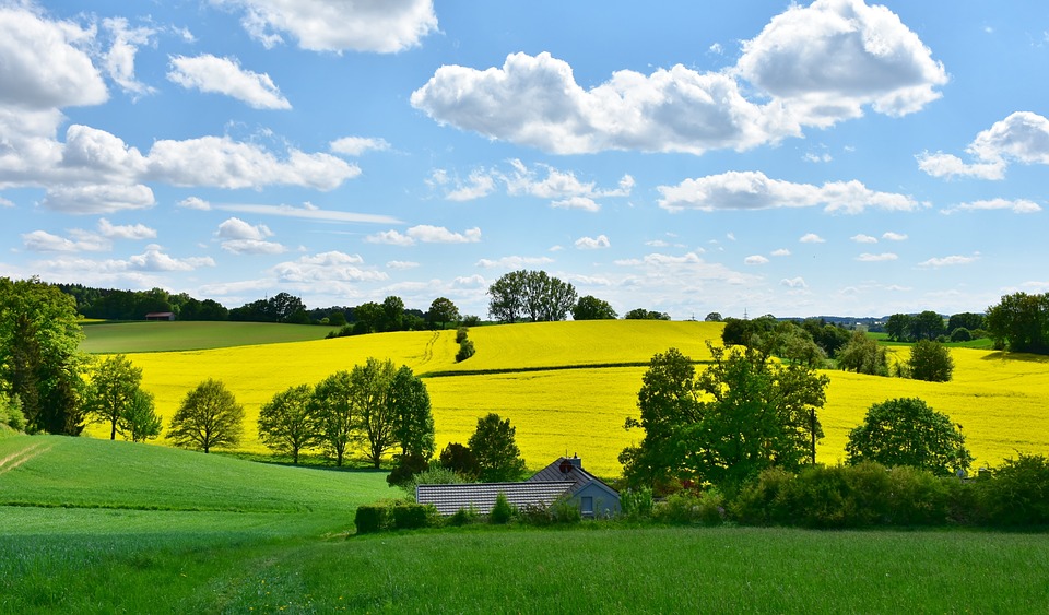 land for auction near me