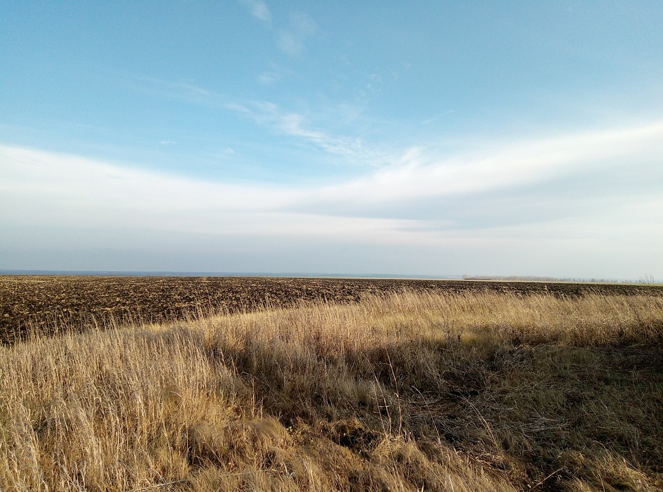 land for $1000