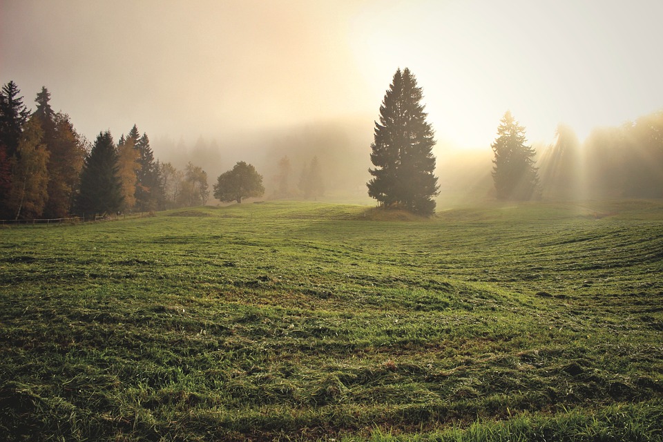 arkansas farm land for sale