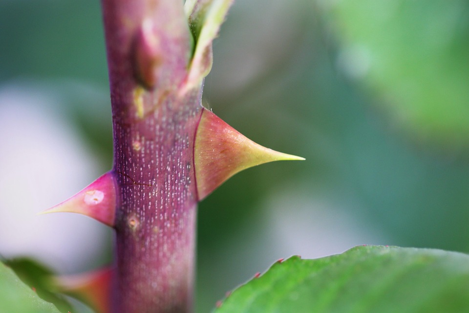 arkansas laws on shooting trespassers